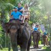 3-bali-zoo-elephant-ride