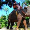 elephantrideubudtour-1024×555